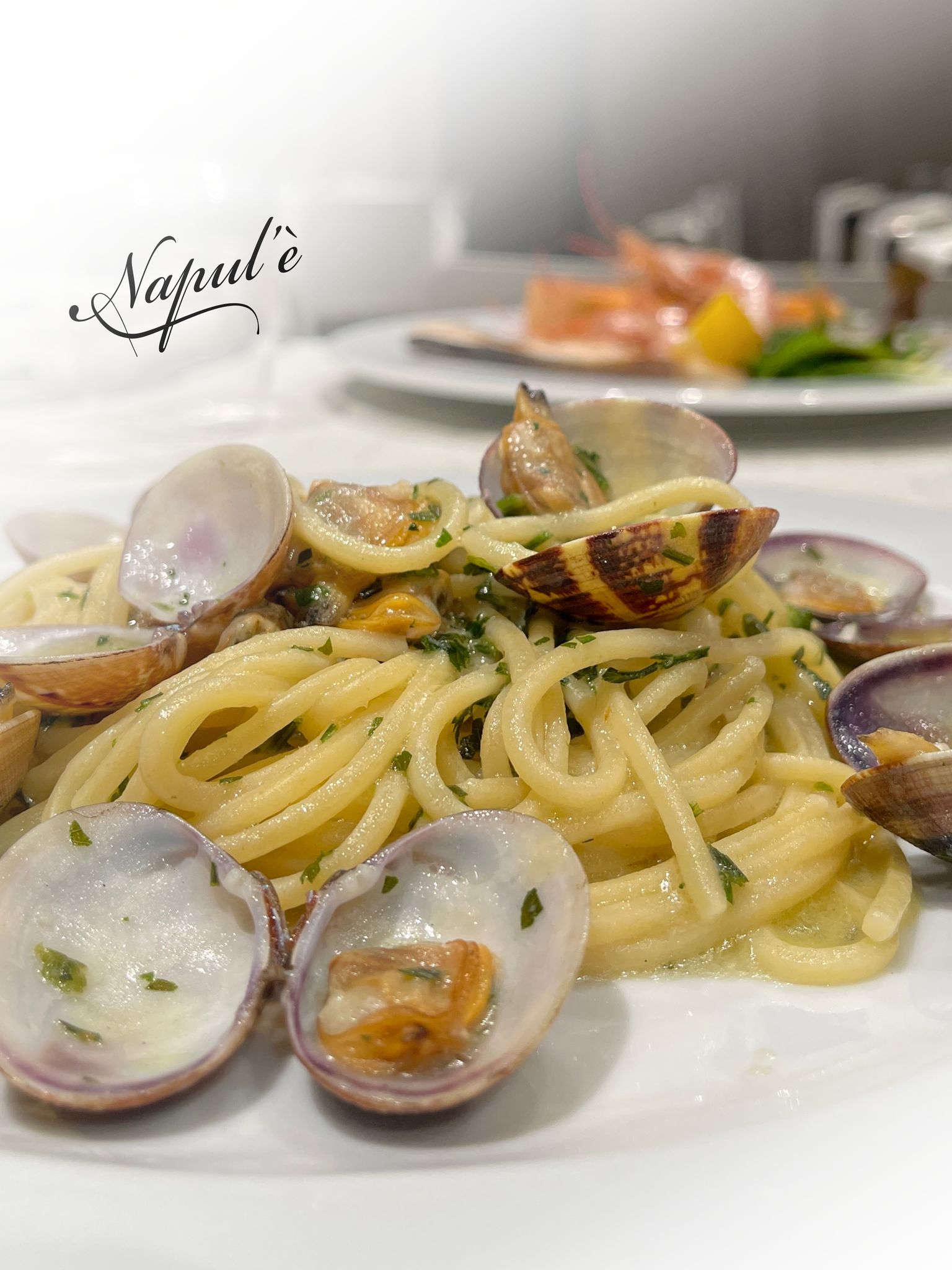 VONGOLE VERACI